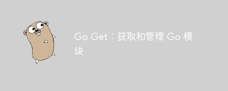 Go Get:获取和管理 Go 模块