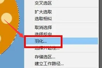 ps怎么制作图片外轮廓羽化效果 ps制作图片外轮廓羽化效果教程