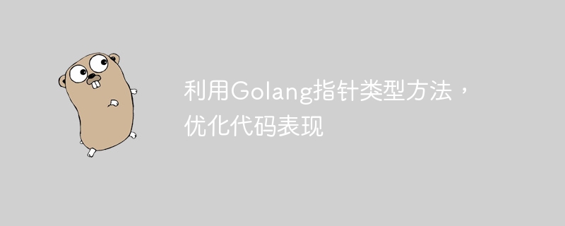 利用Golang指针类型方法,优化代码表现