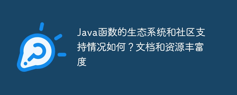 Java函数的生态系统和社区支持情况如何?文档和资源丰富度