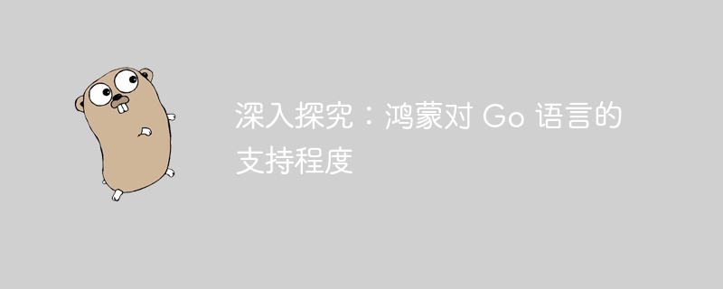 深入探究:鸿蒙对 Go 语言的支持程度