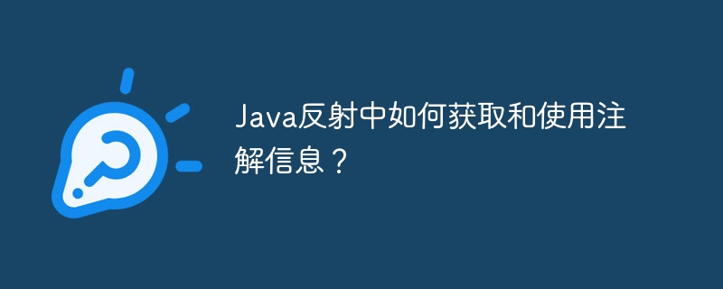 Java反射中如何获取和使用注解信息?