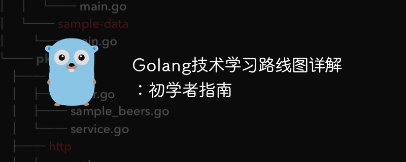 Golang技术学习路线图详解:初学者指南