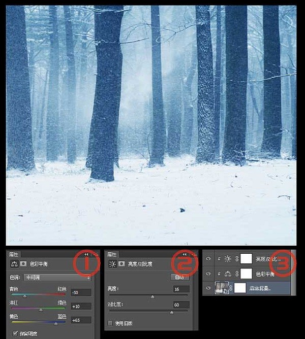 PS怎样绘制蓝色火焰的女魔法师 PS合成雪林中施法蓝色火焰的女魔法师教程