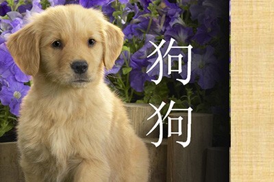 PPT蒙板怎么用_教你一招轻松学