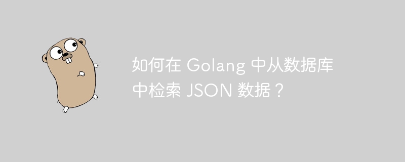如何在 Golang 中从数据库中检索 JSON 数据?