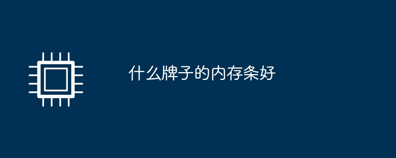 什么牌子的内存条好