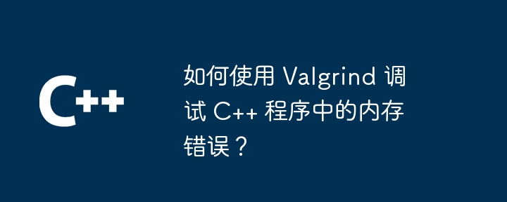 如何使用 Valgrind 调试 C++ 程序中的内存错误?