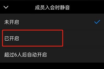 钉钉入会静音在哪里设置_钉钉开启成员入会静音步骤
