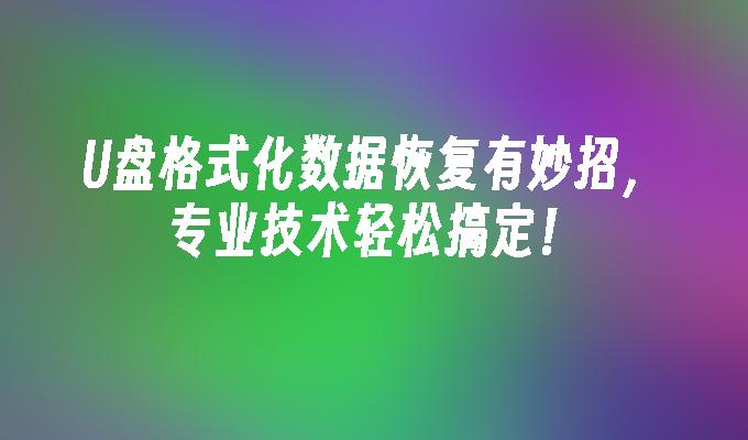 U盘格式化数据恢复有妙招,专业技术轻松搞定!