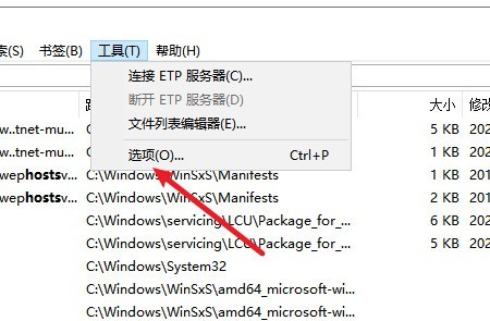 Everything怎么设置搜索结果排序规则 Everything设置搜索结果排序规则的方法
