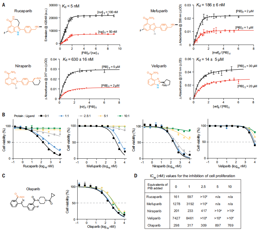 登Science,药物亲和力<5纳摩尔,加州大学开发特异性药物结合蛋白的从头计算方法