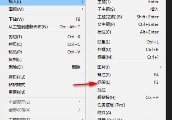 Xmind怎么添加标签_Xmind添加标签具体方法
