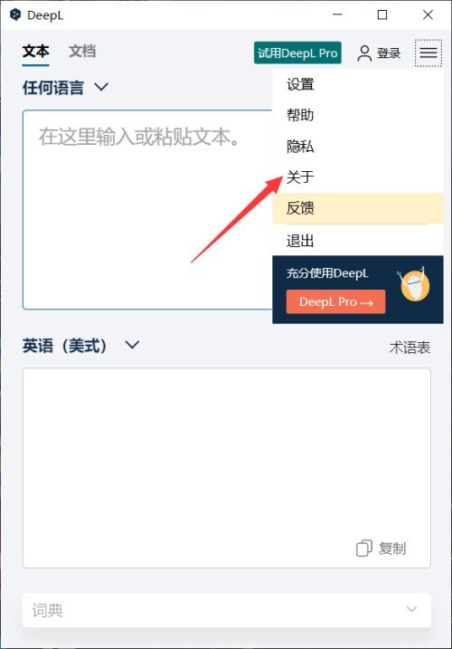 DeepL翻译器怎么查看版本 DeepL翻译器查看版本的方法