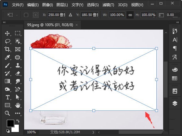 ps图片白色背景怎么去掉_ps图片白色背景去掉步骤一览
