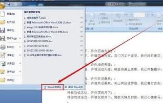 word中语言设置方法