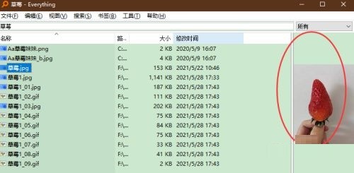 everything怎么使用文件预览功能(everything预览功能使用教程)