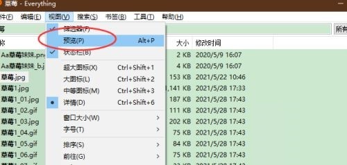 everything怎么使用文件预览功能(everything预览功能使用教程)