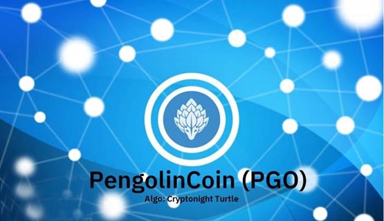 PGO币发行量和发行价格是多少?