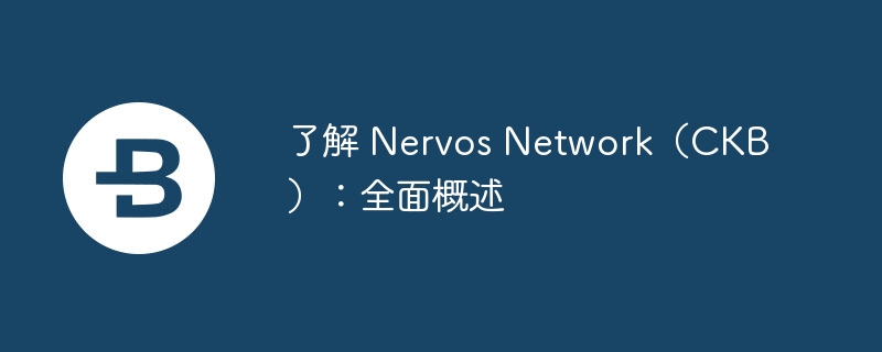 了解 Nervos Network（CKB）：全面概述