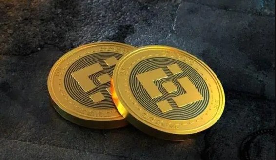 艾达币是什么意思