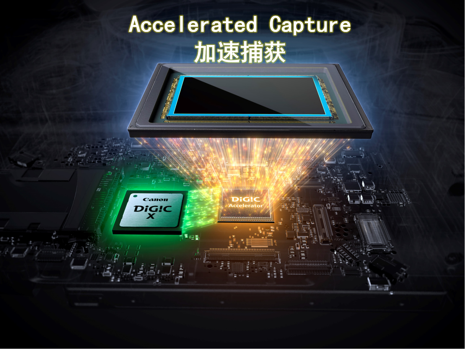 超越不止,5系传奇,佳能发布新一代强者全画幅专微相机EOS R5 Mark II