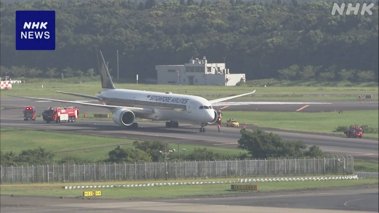 一架波音 787 客机在日本成田机场着陆时发动机冒黑烟,导致跑道一度关闭