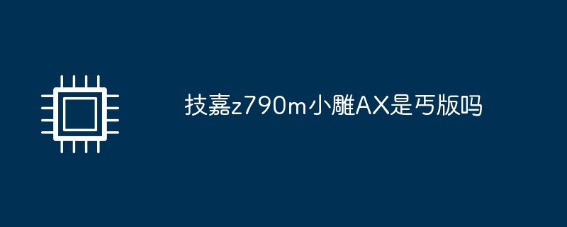 技嘉z790m小雕AX是丐版吗