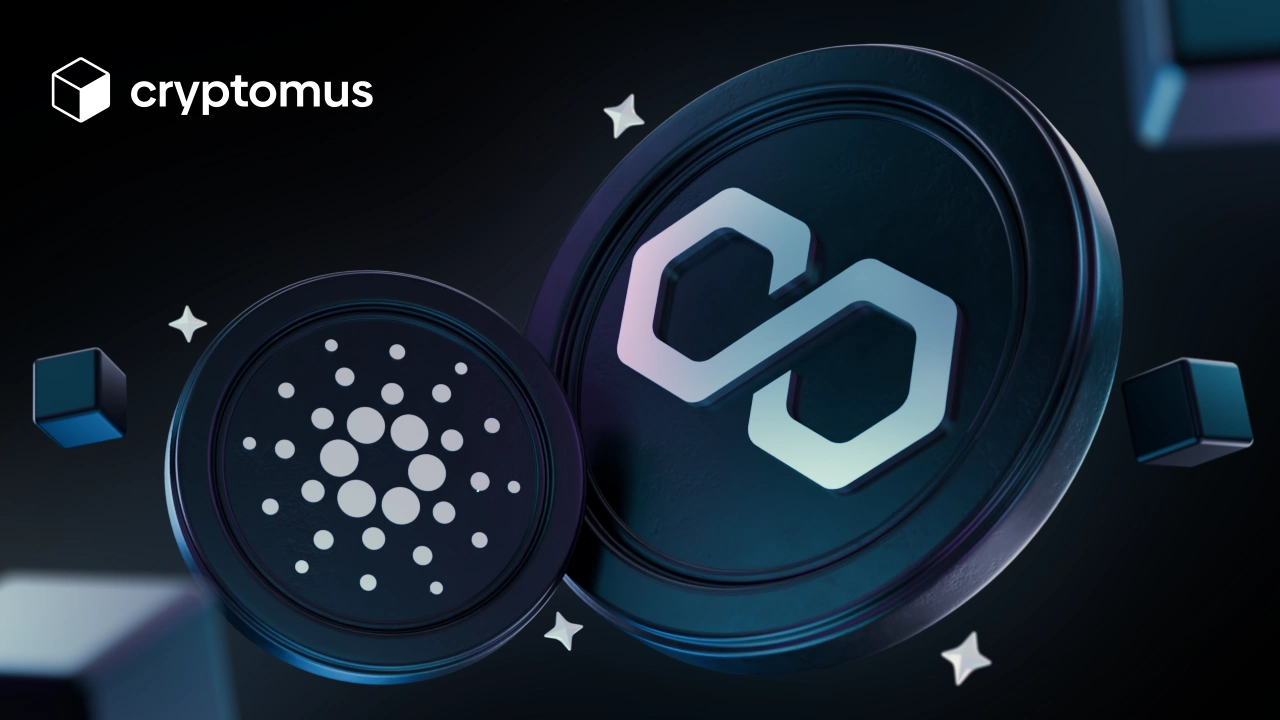 Cardano vs Polygon：深度对比，助你明智投资

