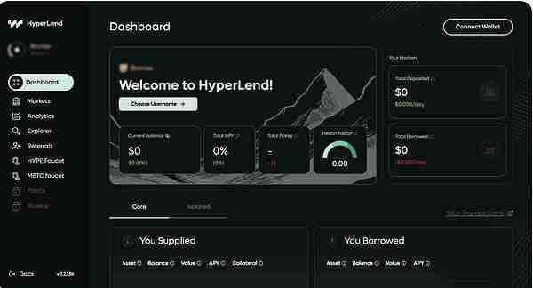 HyperEVM生态项目深度解析：未来前景及热门应用
