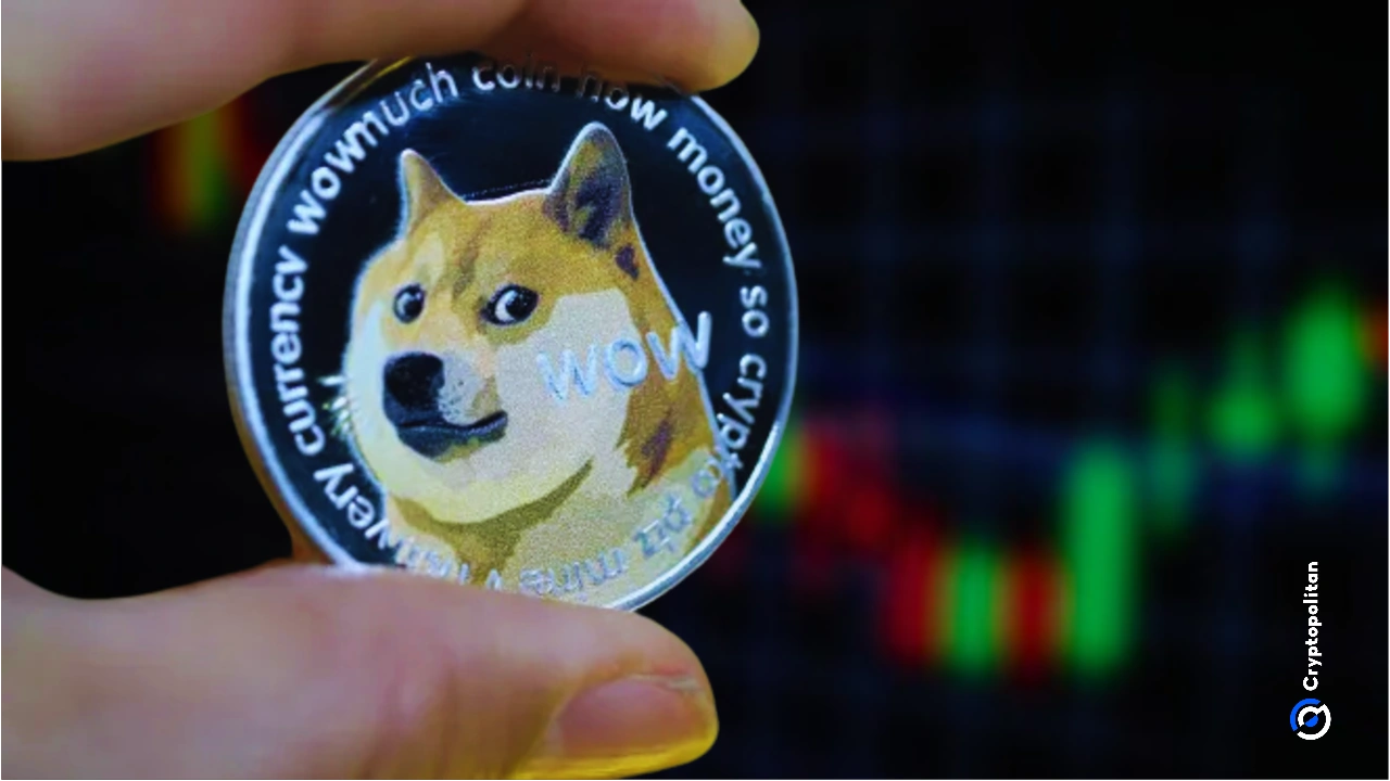 每天显示Dogecoin利润的快照。资料来源:Coinwarz