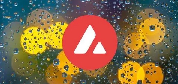 AVAX未来价值：多因素驱动增长潜力