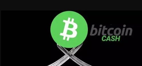 BCH牛市预测：涨幅可达20倍