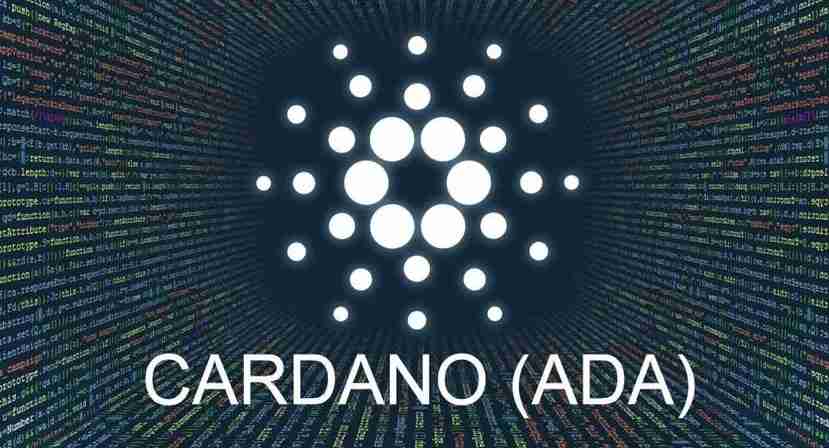 ADA币种类与投资价值分析