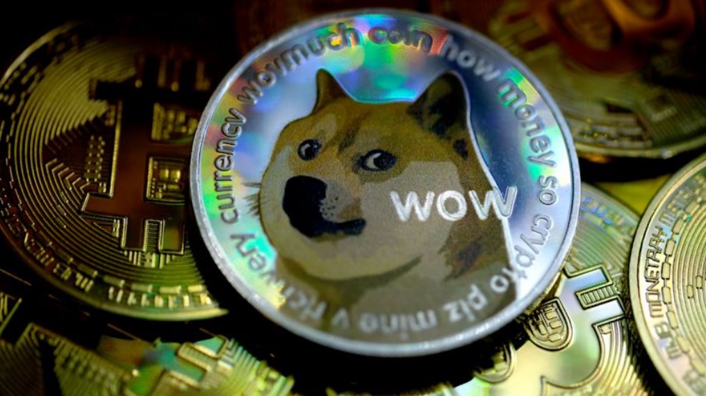 狗狗币DOGE支付平台下载指南