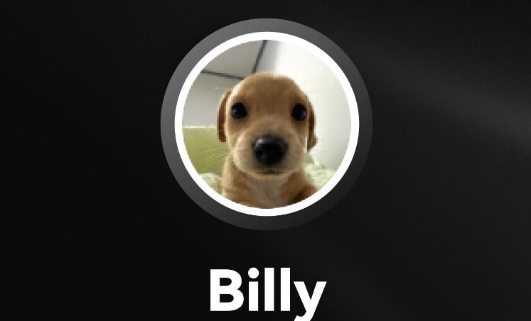 BILLY币是什么币?什么是BILLY币