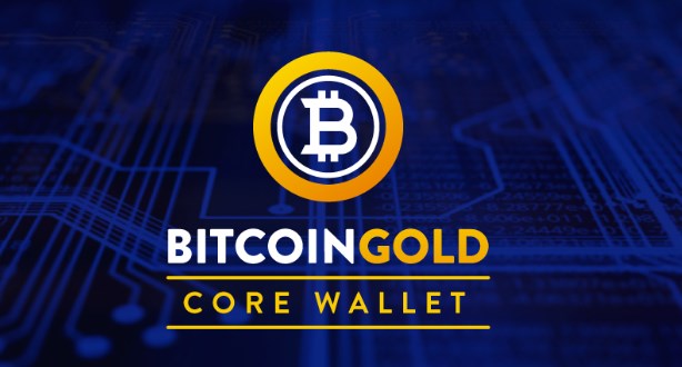 BTG币投资价值分析：潜力与风险并存