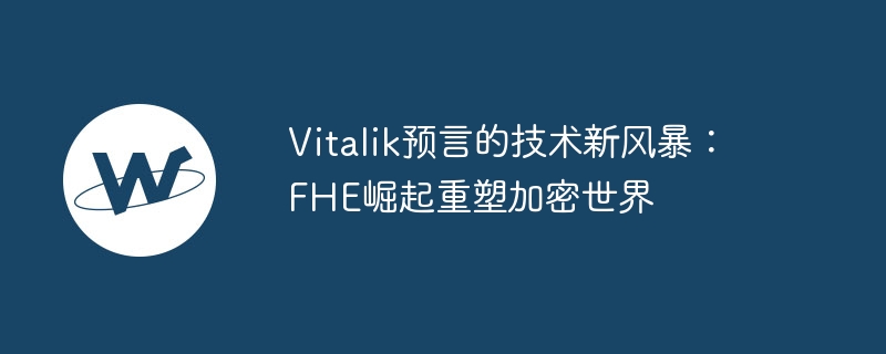 FHE崛起：加密世界的新隐私计算革命