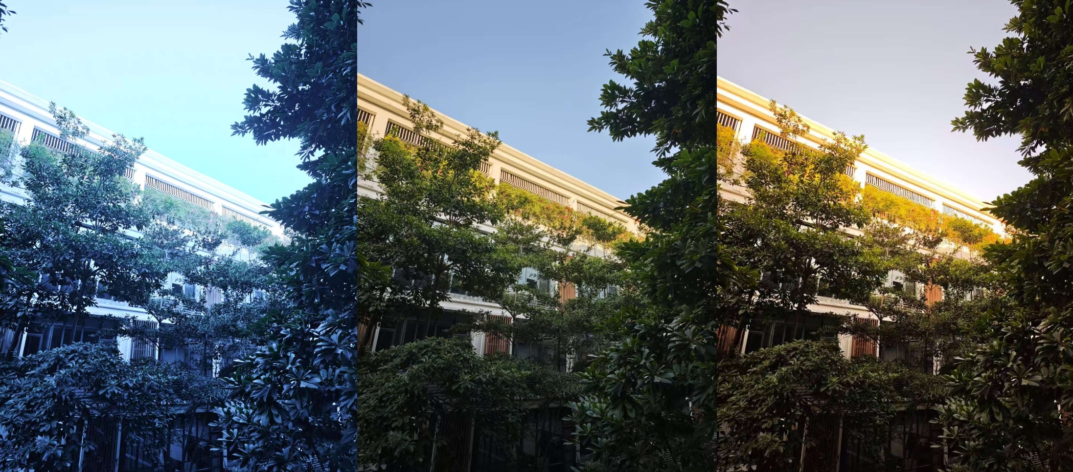 手机拍照专业模式大横评:米OV各有神通,AI真的能颠覆专业吗?