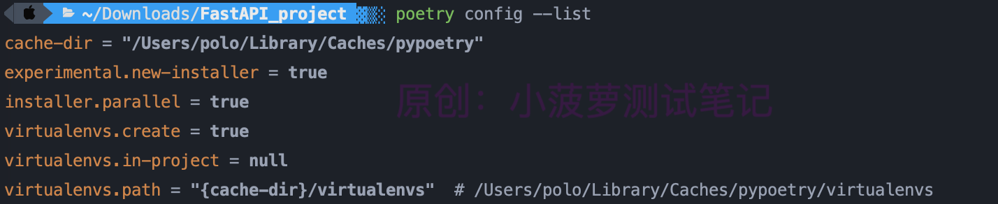 Python - poetry（3）配置项详解