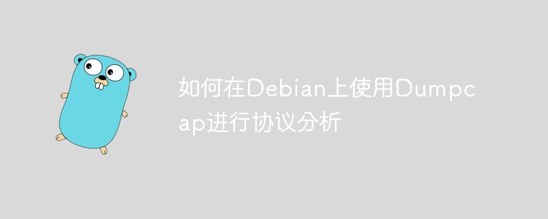 如何在Debian上使用Dumpcap进行协议分析