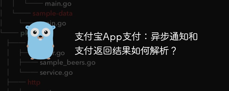 支付宝App支付:异步通知和支付返回结果如何解析?