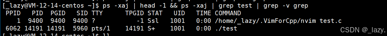 初识Linux · 进程(2)