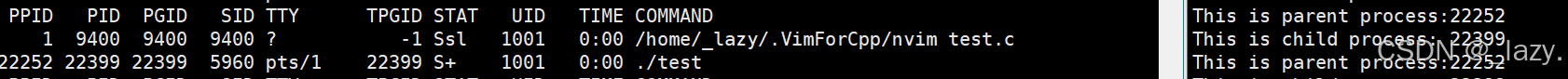 初识Linux · 进程(2)