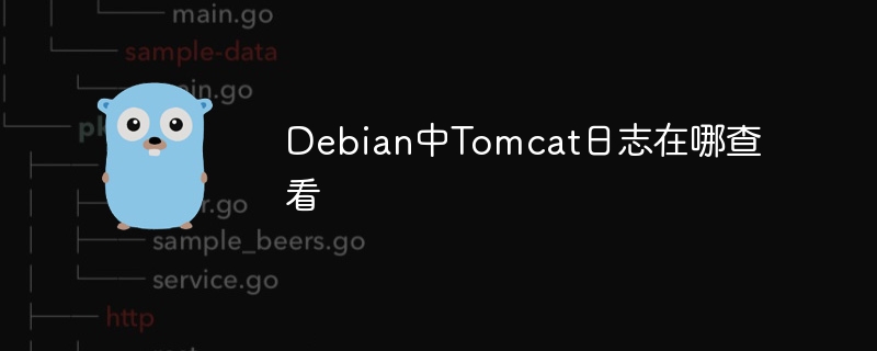 Debian中Tomcat日志在哪查看