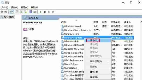 Win10应用商店无法下载应用该怎么办?