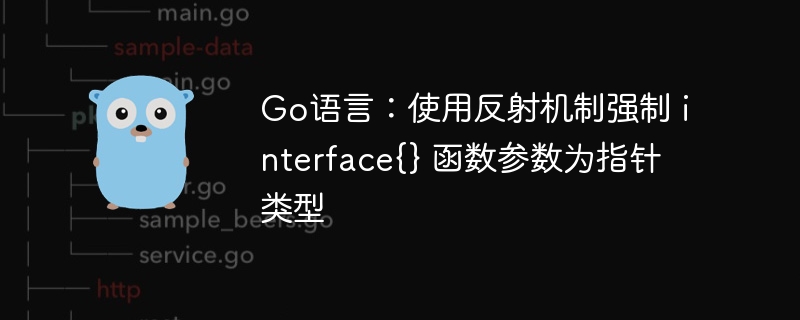 Go语言:使用反射机制强制 interface{} 函数参数为指针类型
