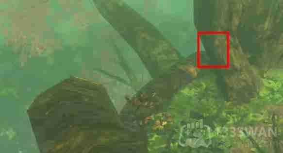 塞尔达传说纳末敏的寻宝游戏任务怎么做-纳末敏的寻宝游戏任务攻略