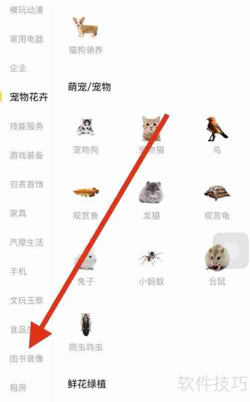 闲鱼查看图书音像的方法
