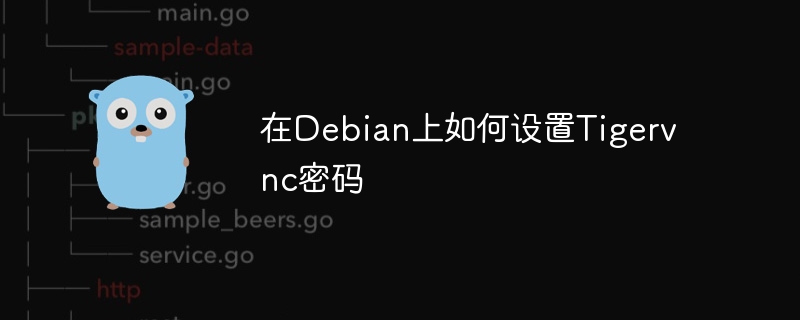 在Debian上如何设置Tigervnc密码